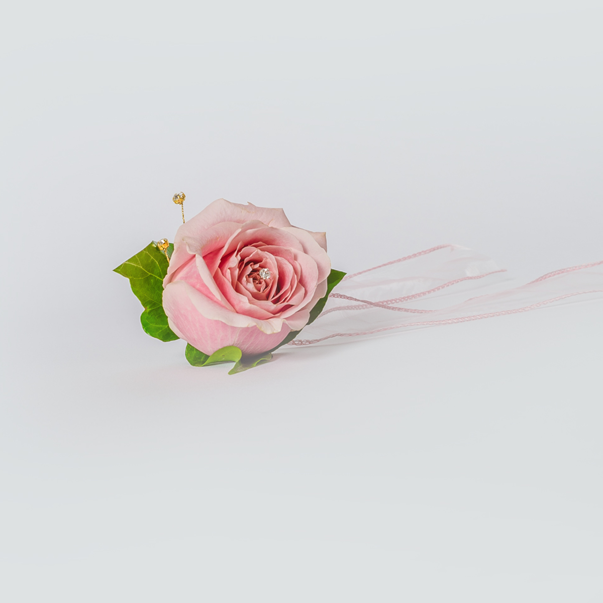 Ladies Rose Wrist Corsage | XOXO Florist Aberdeen