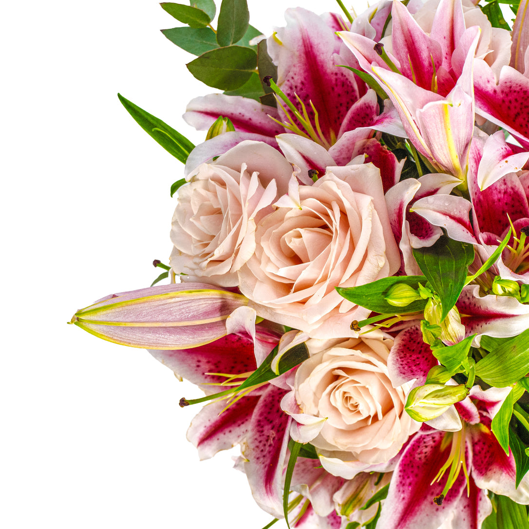 Aberdeen Roses The Rose Blush Bouquet - Flowers Delivered in Aberdeen – XOXO Florist