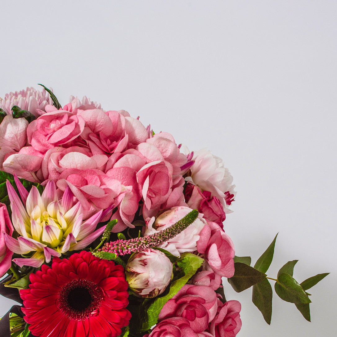 Vivid Bouquet - XOXO Florist Aberdeen