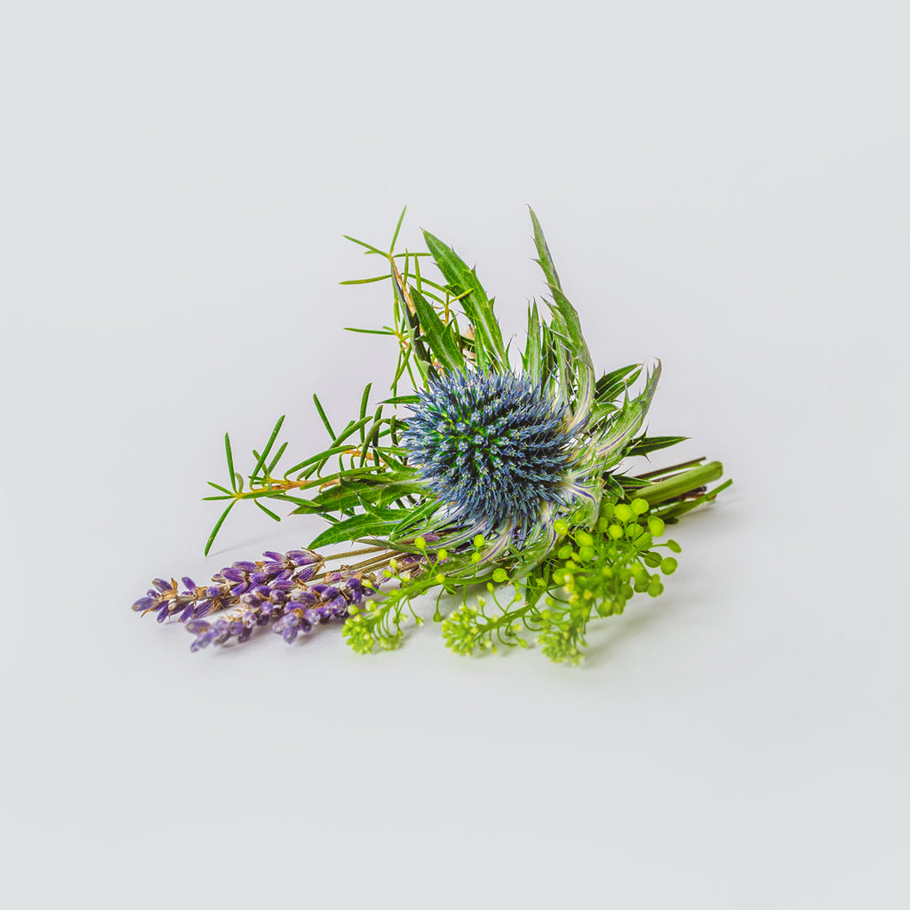 Thistle Buttonhole