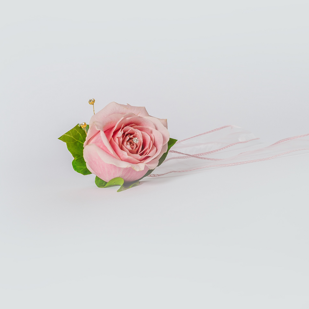 Ladies Rose Wrist Corsage | XOXO Florist Aberdeen