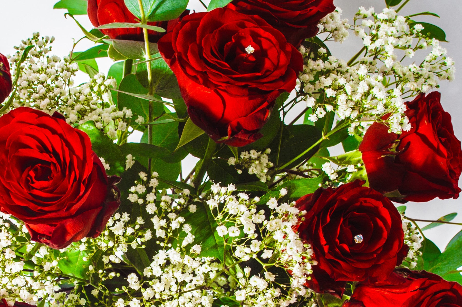 Red Roses Bouquet - Valentines Flowers - XOXO Florist Aberdeen