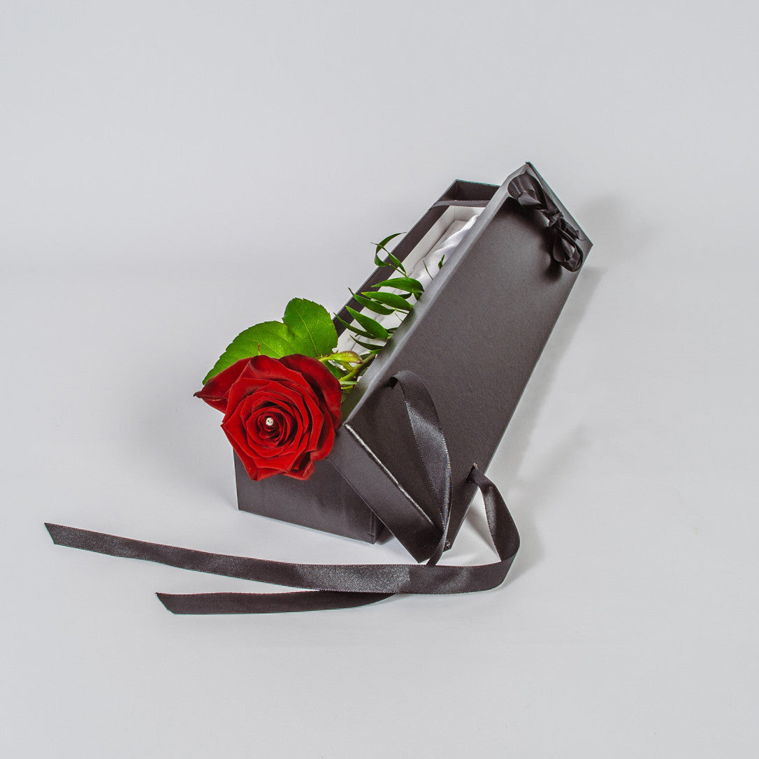 Single Red Rose - XOXO Florist Aberdeen