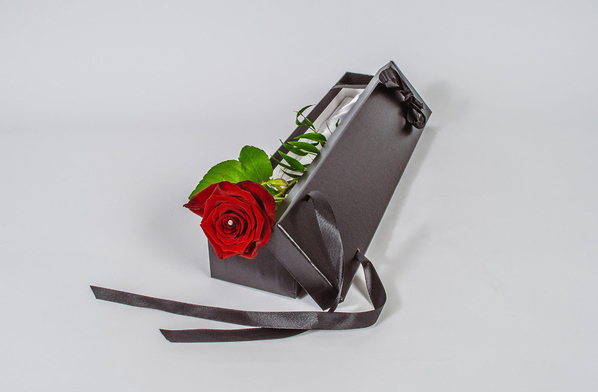 Single Red Rose - XOXO Florist Aberdeen