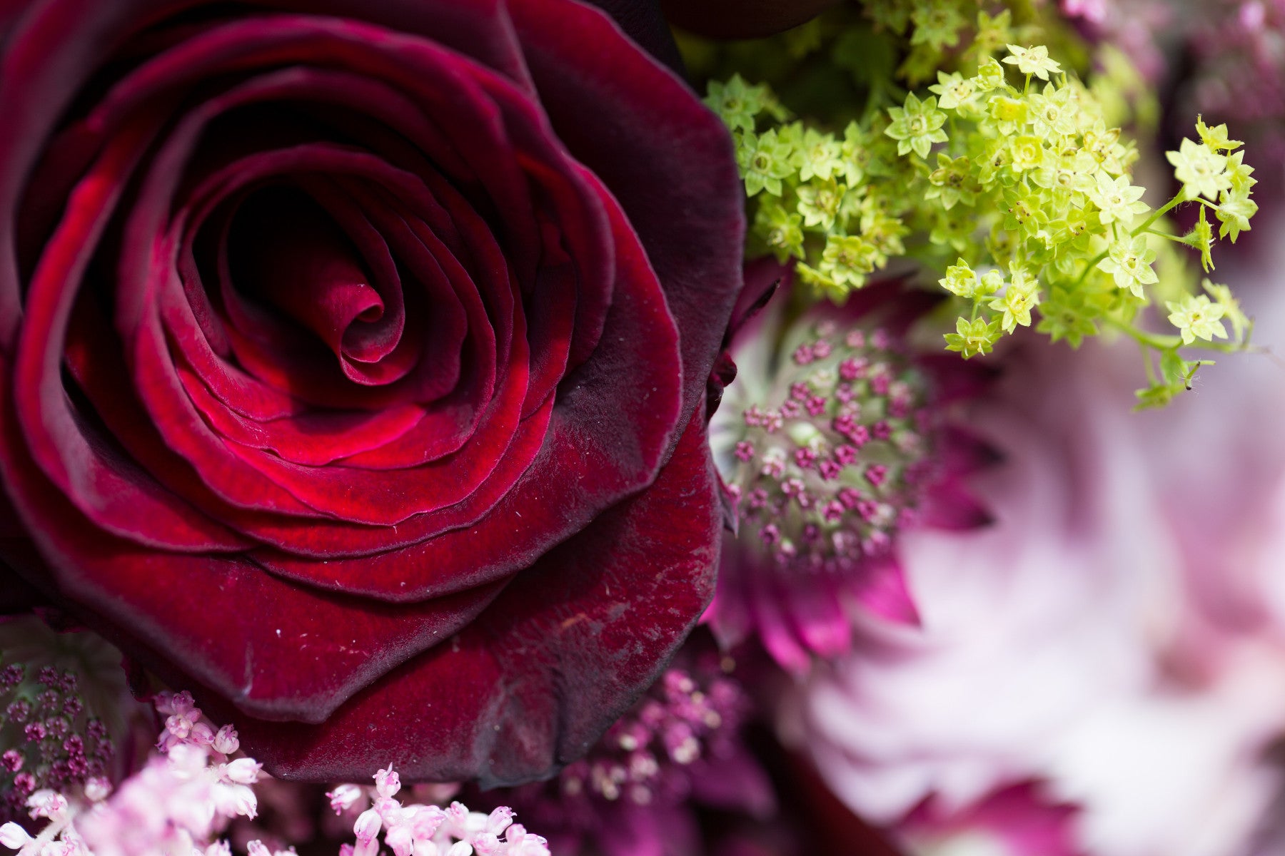 A close up of Black Bacarra Bridal Hand-tied