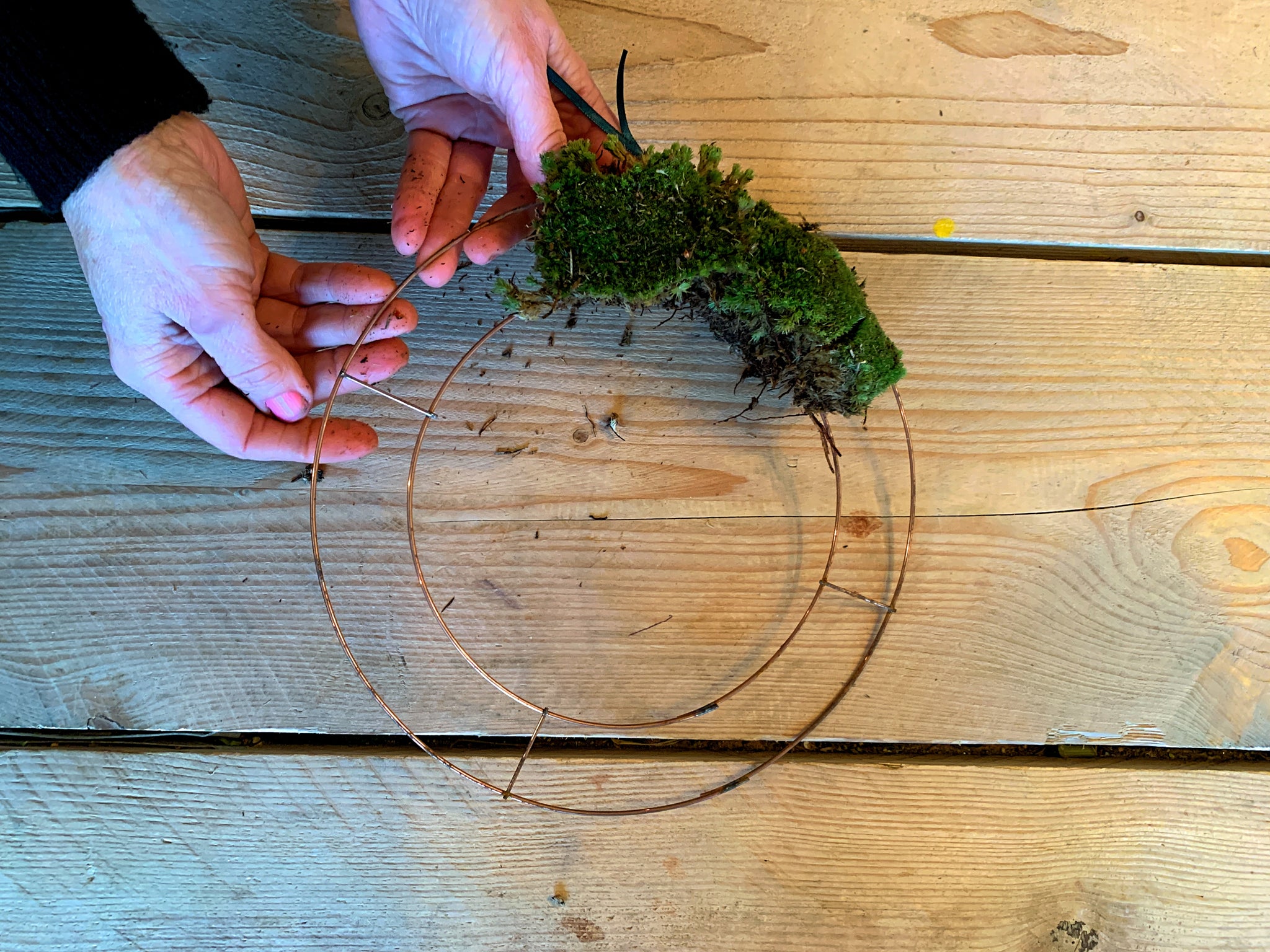 DIY Christmas Wreath Kit