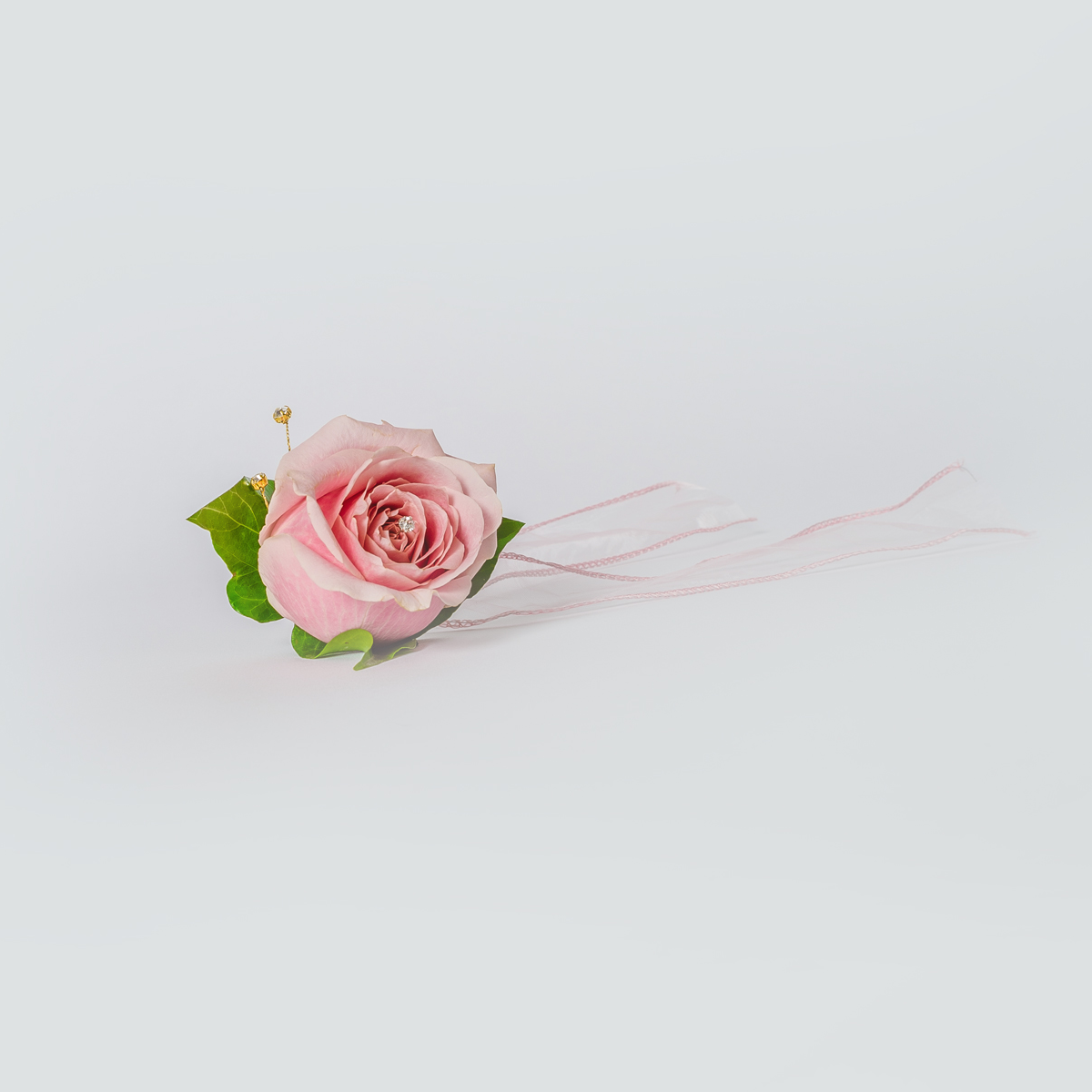 Womens wrist corsage | XOXO Florist Aberdeen