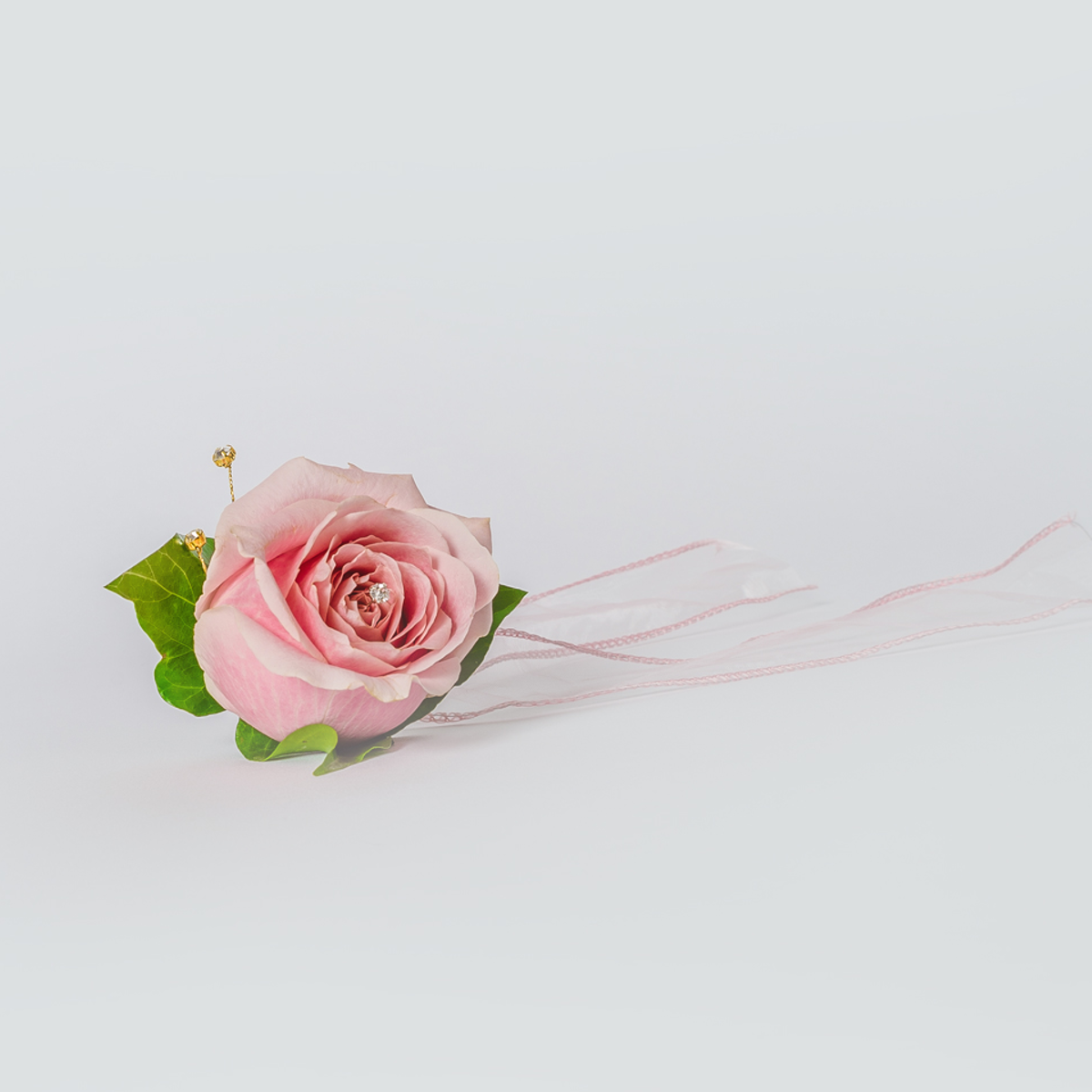 Womens wrist corsage | XOXO Florist Aberdeen